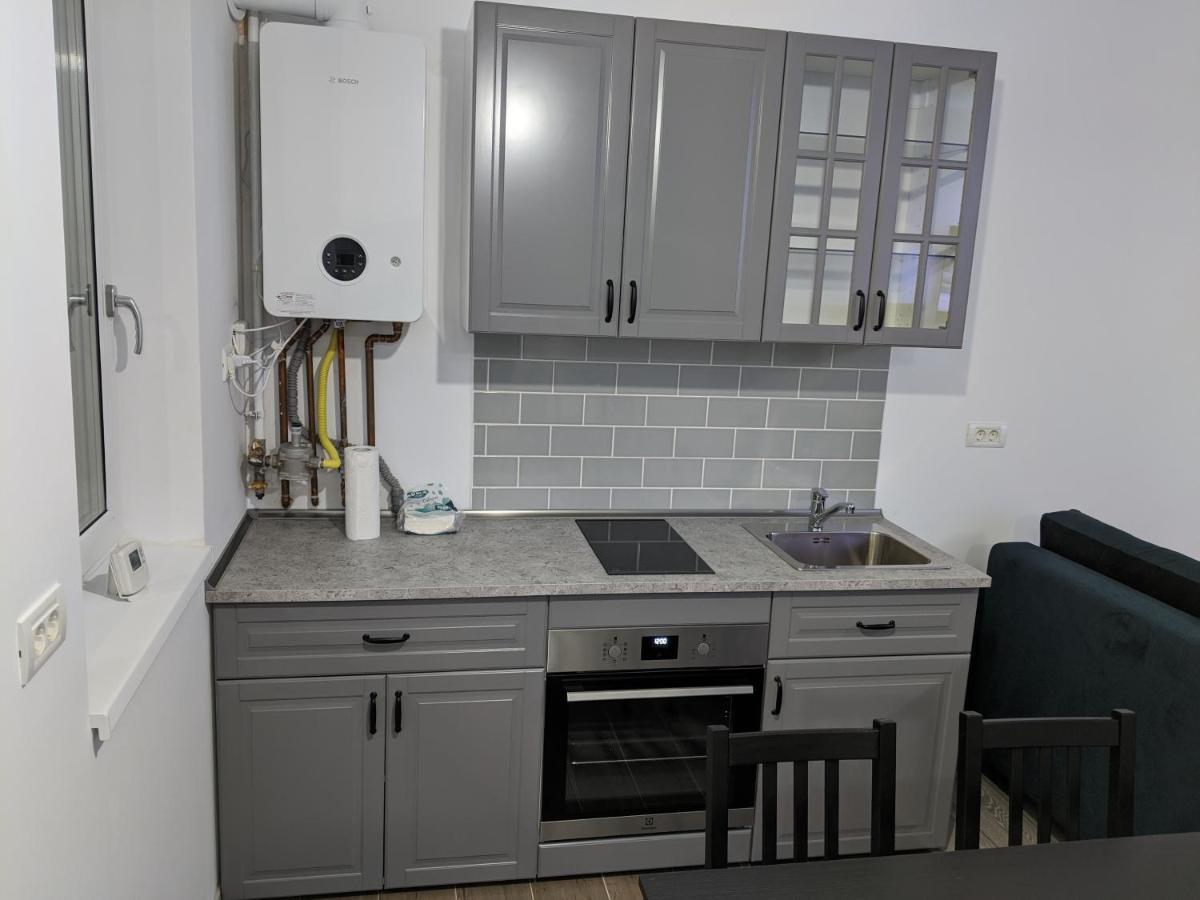 Alina'S Deluxe Apartment And Free Private Parking Dumbravita  Экстерьер фото