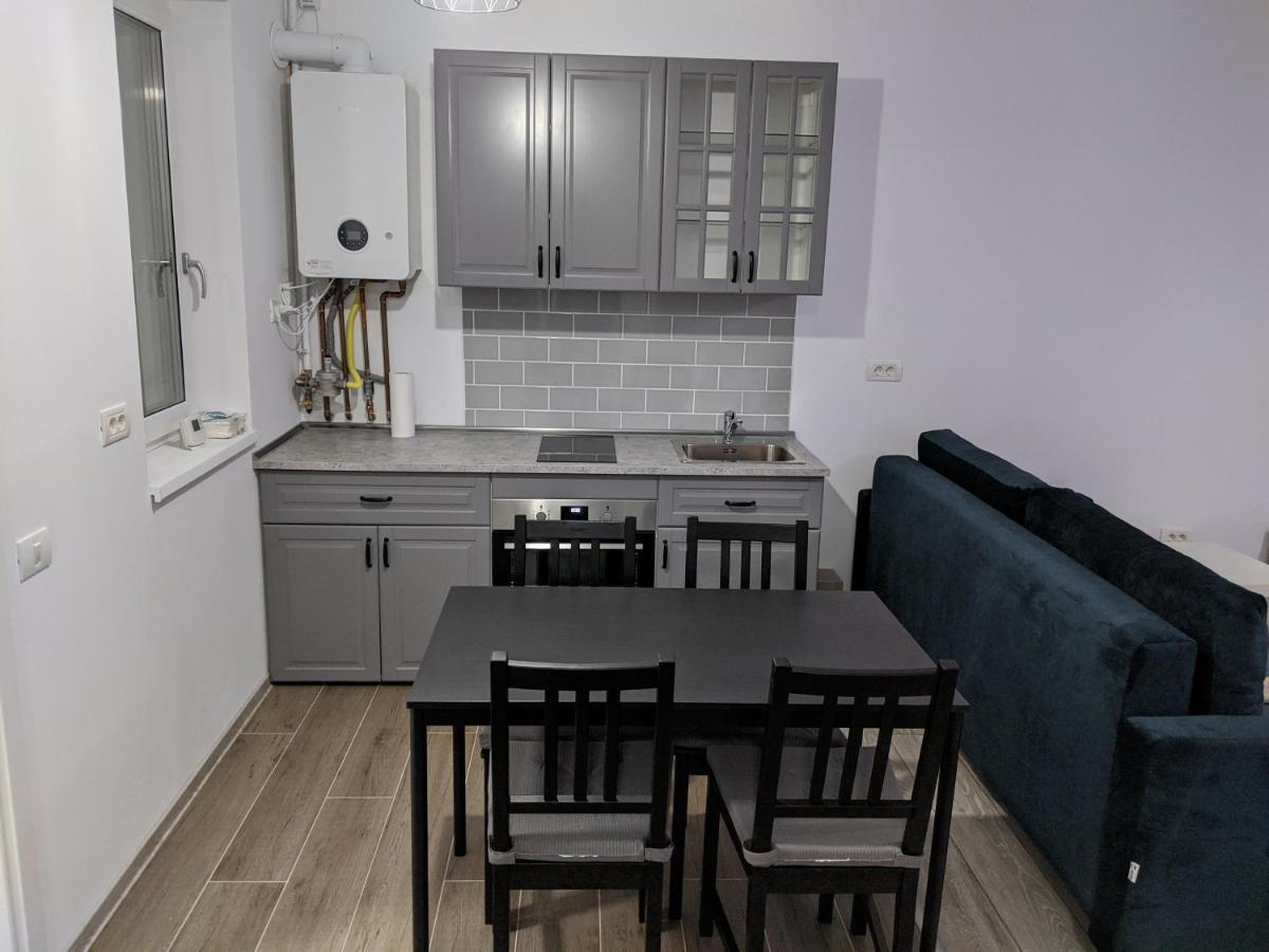 Alina'S Deluxe Apartment And Free Private Parking Dumbravita  Экстерьер фото