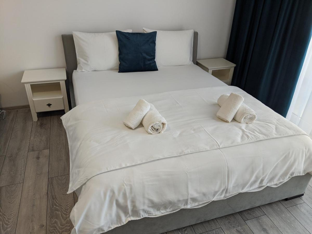 Alina'S Deluxe Apartment And Free Private Parking Dumbravita  Экстерьер фото